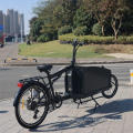 750W family cargo ebike Otkargo ebike for sale